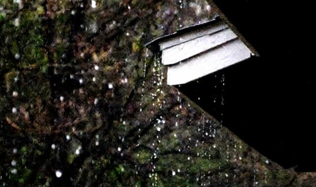 Aktualności - zdjęcie