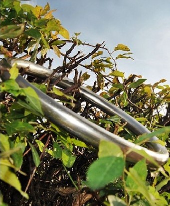 Aktualności - zdjęcie