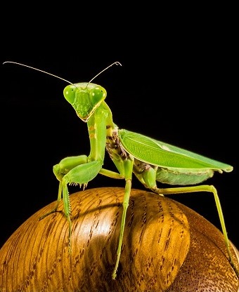 Aktualności - zdjęcie