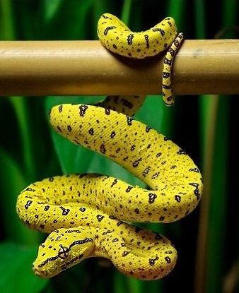 Aktualności - zdjęcie